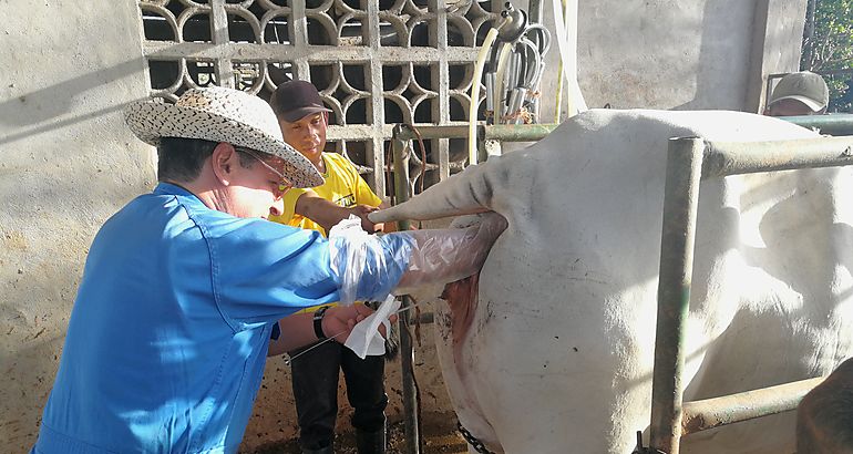Veterinario