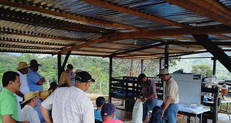 Productores de Cocl