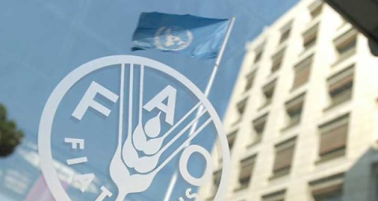 La FAO