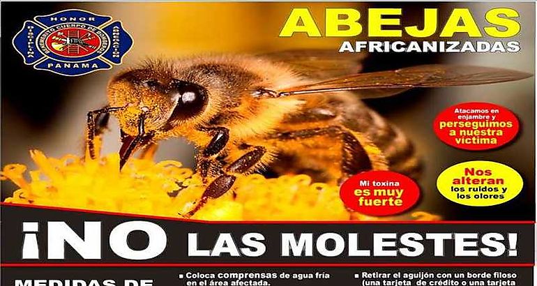 No molestes a las abejas africanas