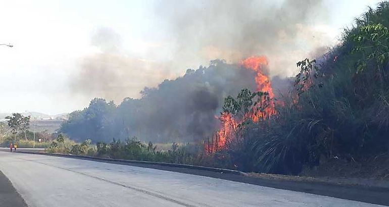 incendios de masa vegetal