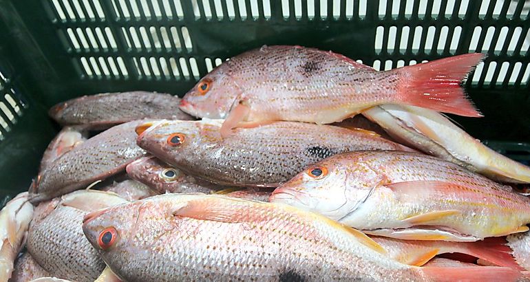 Pescado