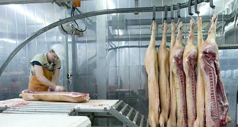 matadero