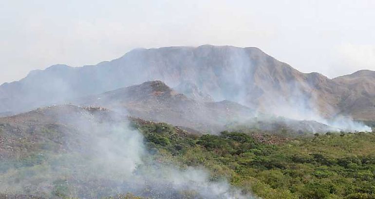Incendio forestal en Cerro Guacamaya