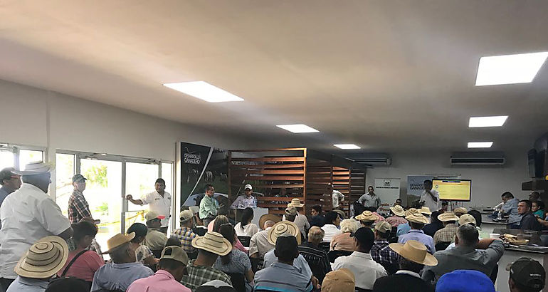 Tcnicos y productores de Los Santos
