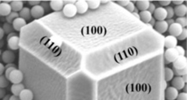 Nanorobocops