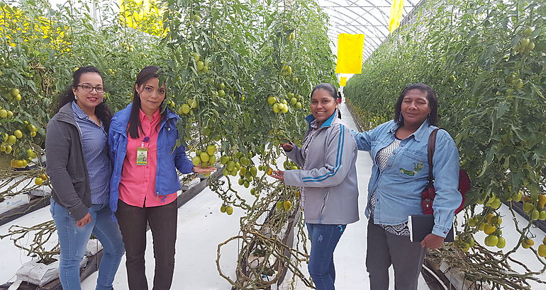 Sanidad Vegetal realiz capacitaciones en tierras altas chiricanas 