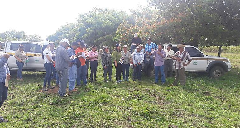 Capacitan a tcnicos en planes de manejo de fincas agro ambientales 