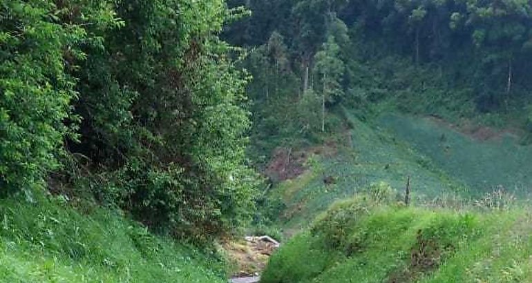 Caminos agrcolas 