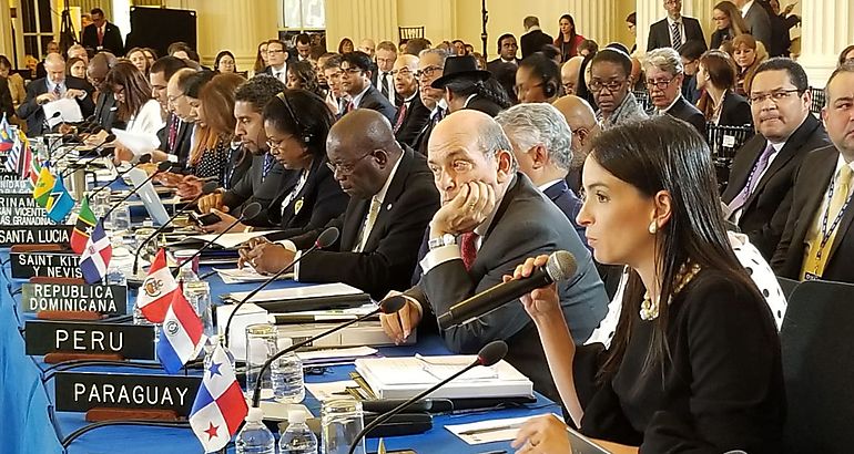 Pleno de la OEA