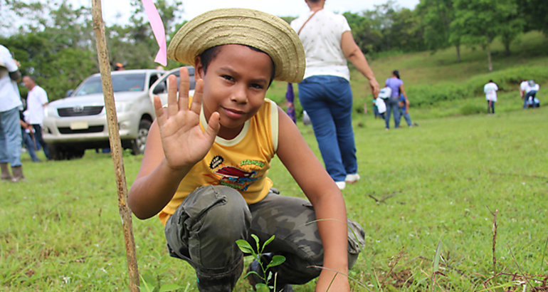  Reforestacin