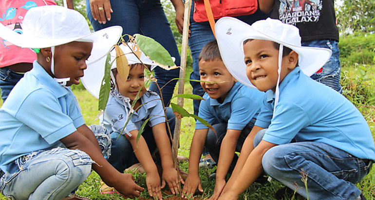  Reforestacin