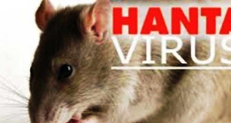 virus hanta 