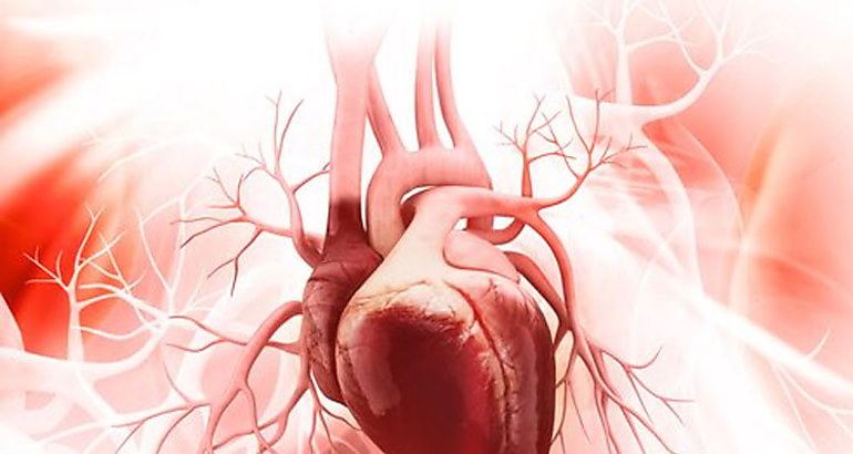 corazn