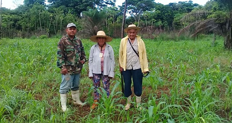 Productores