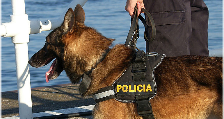 Perro polica