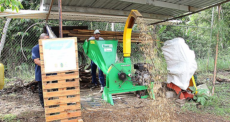 residuos orgnicos para compost y huerto orgnico