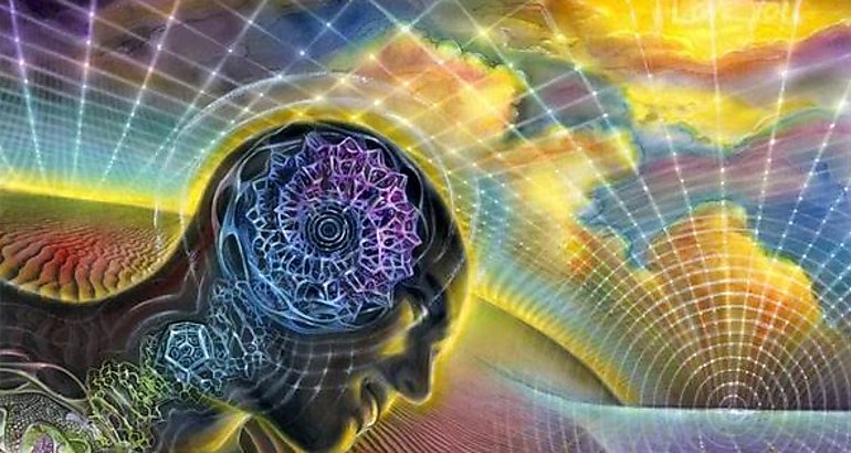 la consciencia 