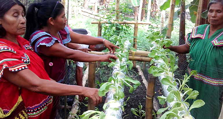 Mujer rural