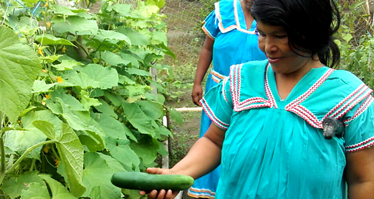 Mujer rural