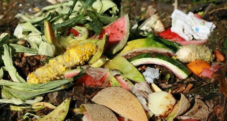restos de frutas y verduras