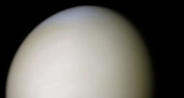 Venus 