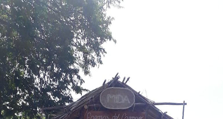 Festival de La Mejorana 