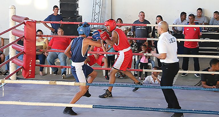 Boxeo
