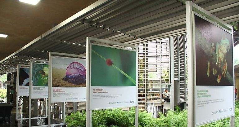 Exhibicin FotoCiencia en La Plaza de Ciudad del Saber