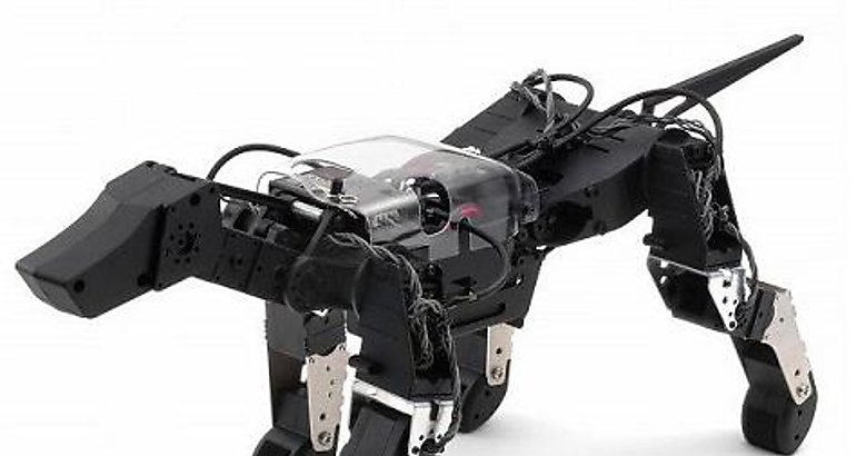 Un perro robot