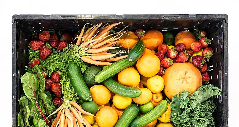 frutas y legumbres