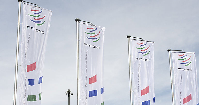 Organizacin Mundial del Comercio OMC 