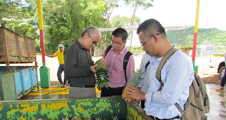 Delegacin de la Repblica Popular China visitan plantas exportadoras en Chiriqu 