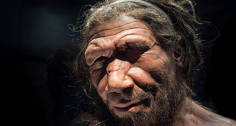 neandertales