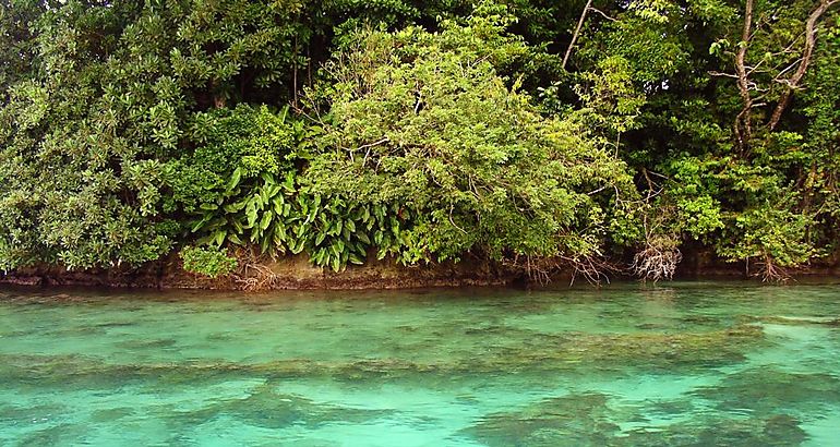 Isla Escudo de Veraguas