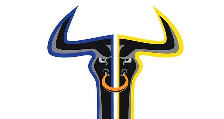 Los Toros de Herrera