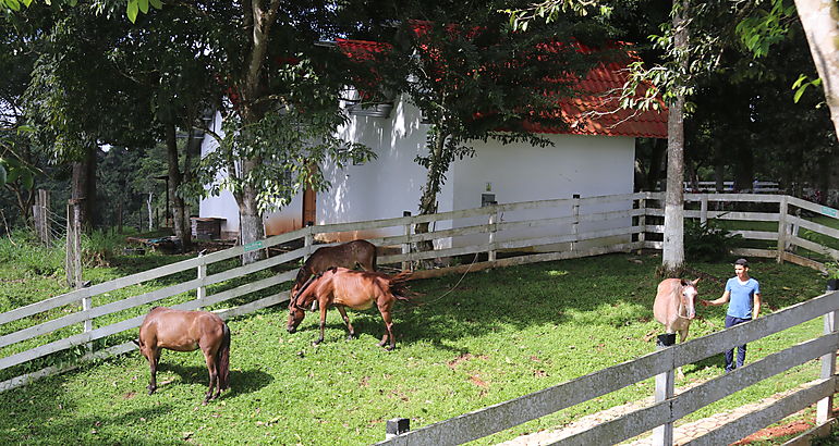 Fincas agrotursticas 