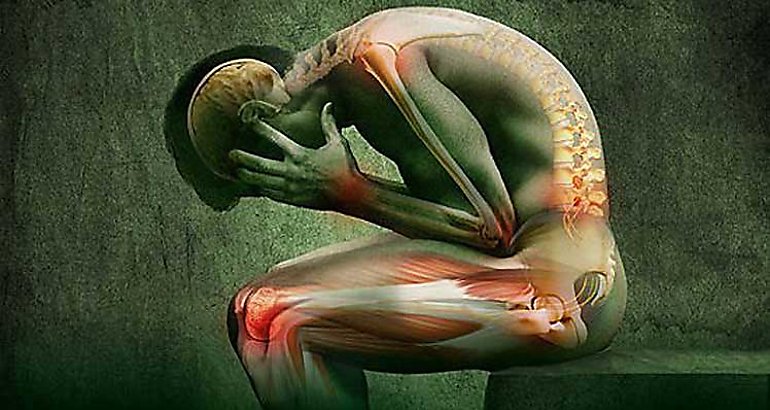 Cuerpo humano