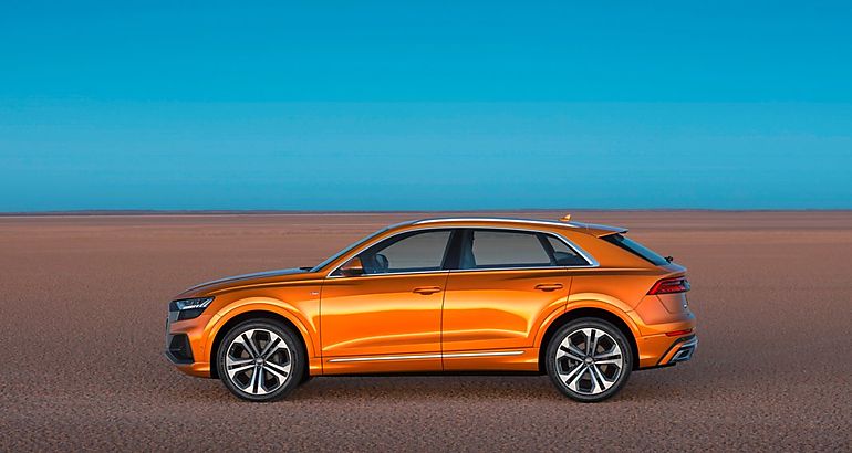 Audi Q8 50 TDI V6 286 CV quattro Tiptronic