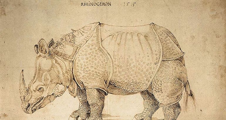  Ilustracin Cientfica