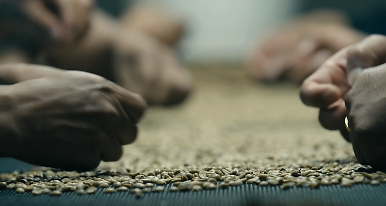 caf geisha