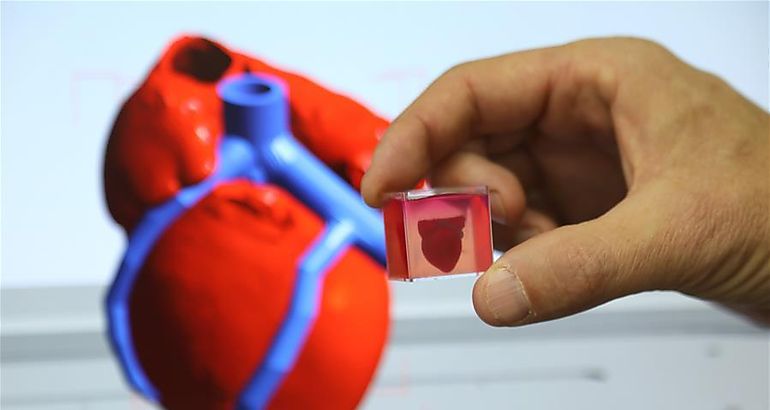 Corazn impreso en 3D con tejido humano en Universidad de Tel Aviv