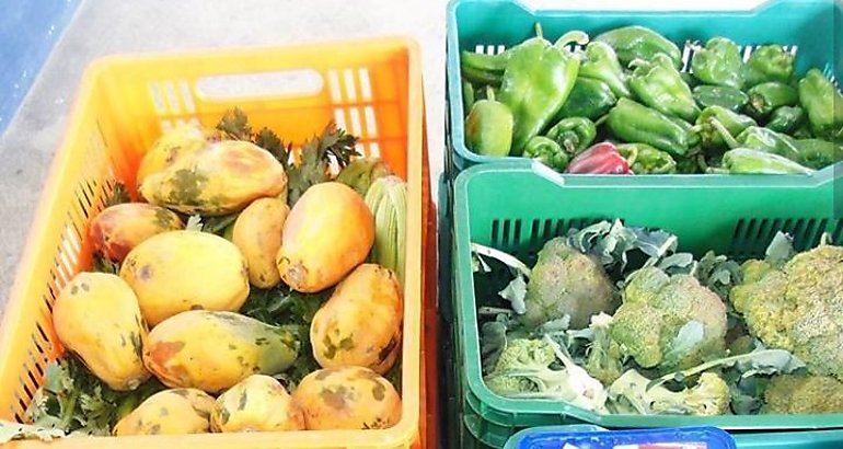 Alimentos 