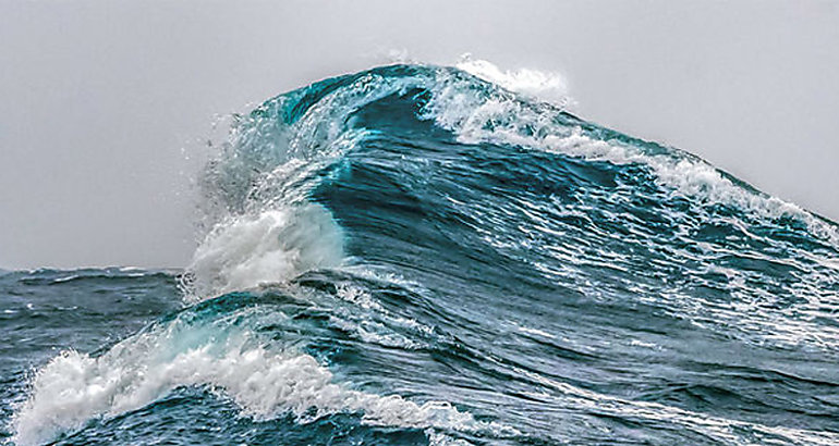 Olas 