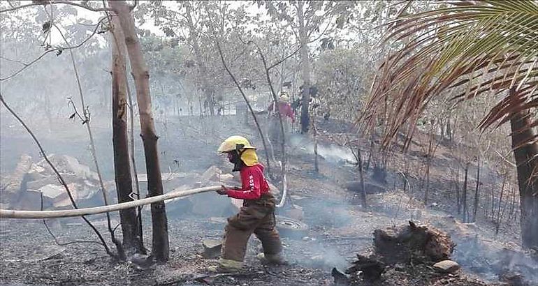 Incendio de masa vegetal