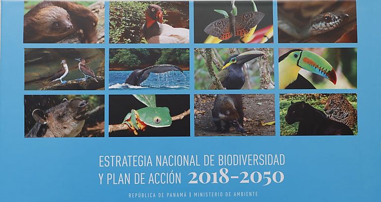 Estrategia Nacional de Biodiversidad y Plan de Accin 20182050