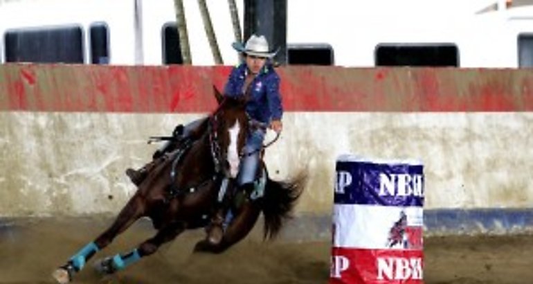 Caballos de Barriles