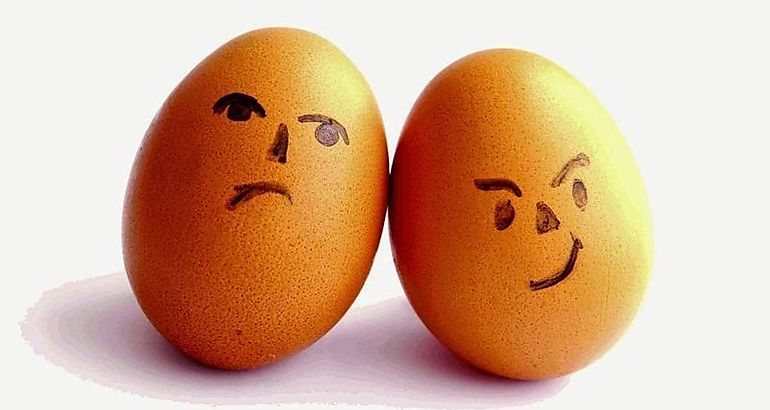 huevos