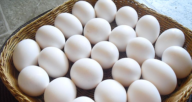 huevos