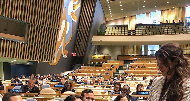 Panam electa miembro de Consejo Econmico y Social de Naciones Unidas 